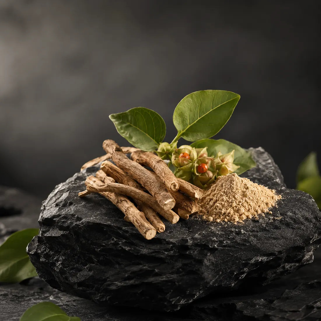Ashwagandha root and powder on dark stone